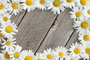 Mijölnir Juego de alfombrillas de baño CT-5228 Multicolor
